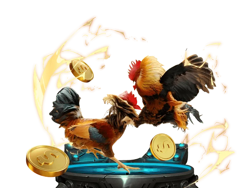 Cá cược thể thao tại Sunwin