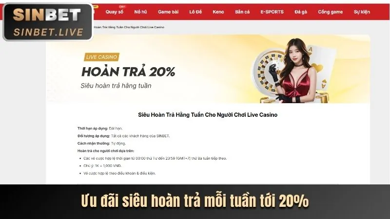 Hoàn trả cược mỗi ngày Sunwin